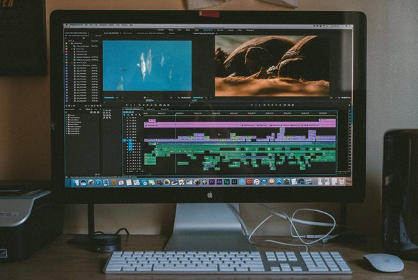 Maîtrisez Votre Bibliothèque Visuelle: Comment Choisir le Meilleur Outil de Gestion de Photos